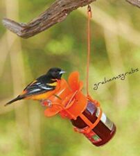 Large orange blossom for sale  Mahomet
