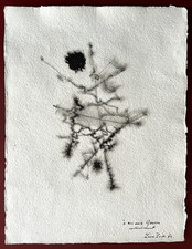 Léon zack encre d'occasion  Paris IX