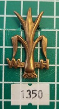 Welsh horse yeomanry for sale  WORTHING