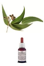 Usado, OLIO Essenziale Puro EUCALIPTO Naturale USO Alimentare /Cosmetico AROMATERAPIA comprar usado  Enviando para Brazil