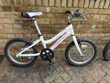 Ridgeback melody girls for sale  BUCKINGHAM