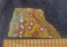 Star galaxy poppy for sale  San Jose