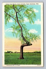 Cartão postal antigo Upper Sandusky OH-Ohio, marcador de trilha, rota 22 norte comprar usado  Enviando para Brazil
