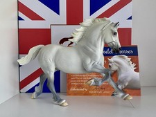 Copperfox percival welsh for sale  IPSWICH