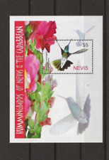 Nevis 2005 kolibri gebraucht kaufen  Dresden