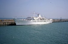 Illiria italian dover for sale  ARUNDEL
