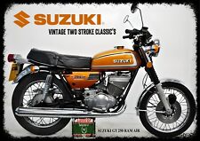 Suzuki 250 ram for sale  DONCASTER