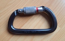 Mousqueton petzl screw d'occasion  Le-Fayet