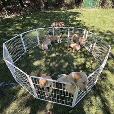 Dog playpen crate for sale  Shipping to Ireland