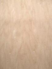 Ahorn furnier maple gebraucht kaufen  Hamburg