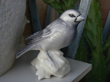 oiseaux chardonneret d'occasion  Le Cannet