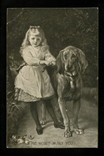Dog puppy postcard for sale  Trenton