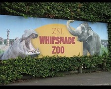 Whipsnade zoo tickets for sale Whipsnade zoo tickets for sale  BRADFORD