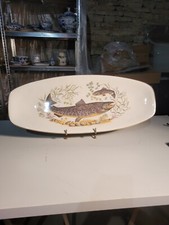 Grand plat poisson d'occasion  Fayl-Billot
