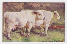 Trade card oxo d'occasion  Expédié en Belgium
