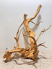 Rote moorwurzel redwood gebraucht kaufen  Laaber