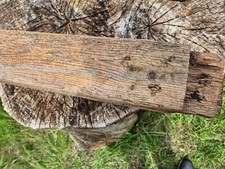 Altholz balken holz gebraucht kaufen  Kempen