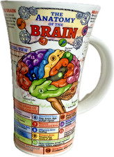 Dunoon anatomy brain for sale  Los Angeles
