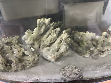 10.3kg marine aquarium for sale  WINSCOMBE