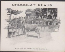 Chromo ancien publicite d'occasion  Dijon
