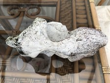 Large relisic rock for sale  LEEK