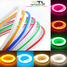 Striscia led neon usato  Teramo