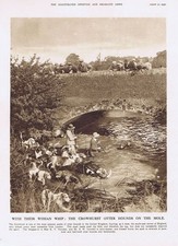 Crowhurst otter hounds for sale  GLASGOW