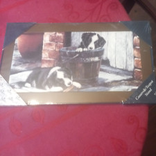 Border collie collection for sale  GAINSBOROUGH