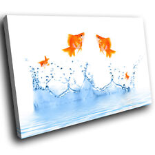 A276 goldfish water for sale  STRABANE