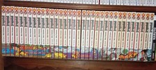 Dragon ball perfect usato  Cantiano
