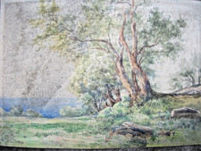 Combe velluet aquarelle d'occasion  Moulins