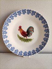 Piatto ceramica richard usato  Mondovi