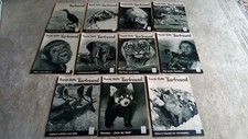 Zeitschrift kleine tierfreund gebraucht kaufen  Detmold