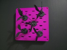 Drukhari warhammer 40k for sale  Keene