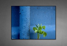 Xy10 photographie art d'occasion  Épinal