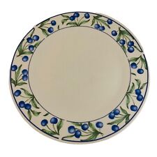Tienshan dinner plate for sale  BIGGLESWADE