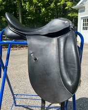 Thornhill jose canaves for sale  Chesterland