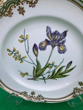 spode stafford flowers for sale  READING