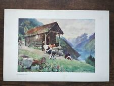 Norwegian fjord antique d'occasion  Expédié en Belgium