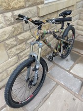 santa cruz chameleon for sale santa cruz chameleon for sale HIGH PEAK