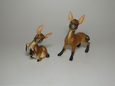 Donkey family bone for sale  Delaware