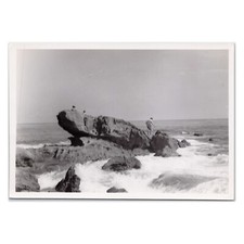 Laguna beach rock for sale  Portland