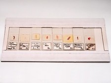 Histology microscope slide for sale  UK