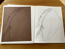 Salvador dalí hemingway gebraucht kaufen  Weinheim