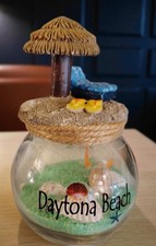 Daytona beach souvenir for sale  Amanda