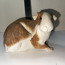 Sherratt simpson guinea for sale  MINEHEAD