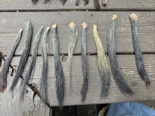 turkey beard for sale turkey beard for sale Germantown