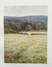 Margaridas olho de boi perto de Westerham - Kent - Helen Allingham - Estampa antiga 1909 comprar usado Margaridas olho de boi perto de Westerham - Kent - Helen Allingham - Estampa antiga 1909 comprar usado  Enviando para Brazil