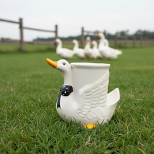 Mug oie canard d'occasion Mug oie canard d'occasion  Bordeaux-