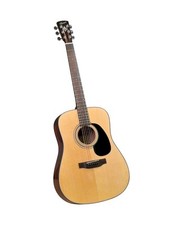 Bristol blueridge string d'occasion  Expédié en Belgium